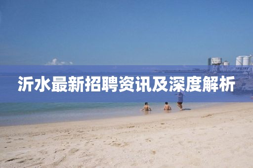 沂水最新招聘資訊及深度解析
