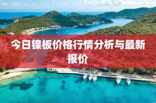 今日鎳板價(jià)格行情分析與最新報(bào)價(jià)