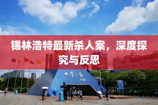 錫林浩特最新殺人案，深度探究與反思