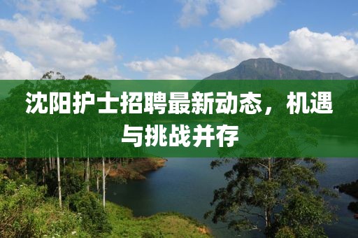 沈陽護士招聘最新動態(tài)，機遇與挑戰(zhàn)并存