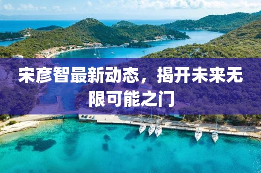 宋彥智最新動態(tài)，揭開未來無限可能之門
