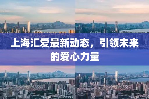 上海匯愛(ài)最新動(dòng)態(tài)，引領(lǐng)未來(lái)的愛(ài)心力量
