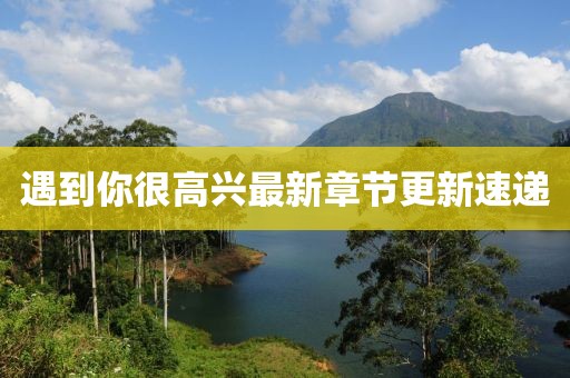 遇到你很高興最新章節(jié)更新速遞
