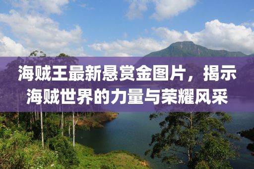 海賊王最新懸賞金圖片，揭示海賊世界的力量與榮耀風(fēng)采