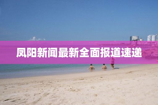 鳳陽新聞最新全面報道速遞