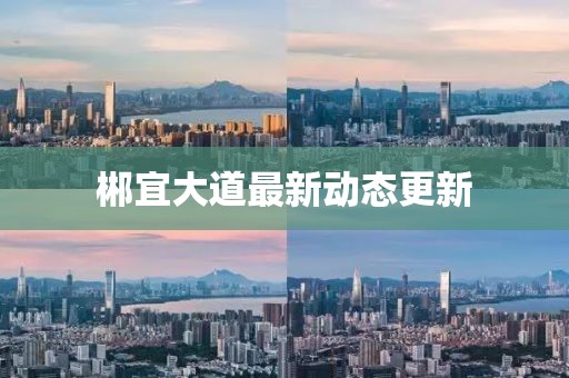 郴宜大道最新動態(tài)更新