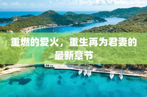 重燃的愛火，重生再為君妻的最新章節(jié)