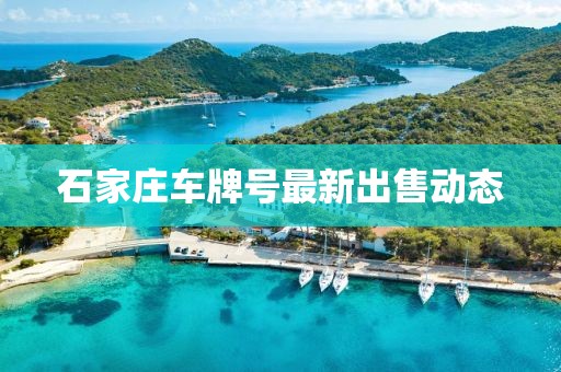 石家莊車牌號最新出售動態(tài)