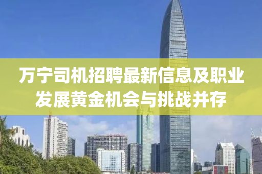 萬寧司機招聘最新信息及職業(yè)發(fā)展黃金機會與挑戰(zhàn)并存
