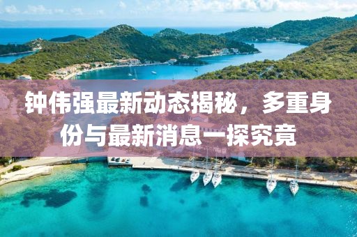 鐘偉強(qiáng)最新動(dòng)態(tài)揭秘，多重身份與最新消息一探究竟