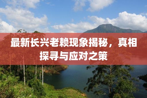 最新長興老賴現(xiàn)象揭秘，真相探尋與應(yīng)對之策