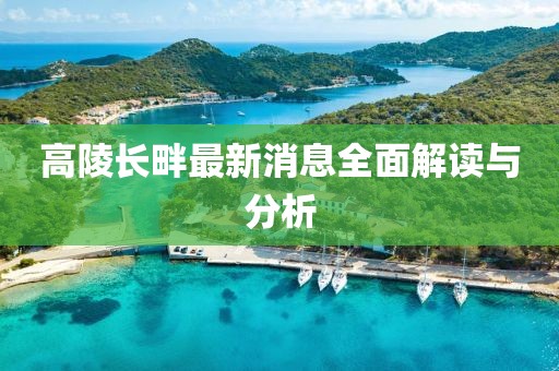 高陵長畔最新消息全面解讀與分析