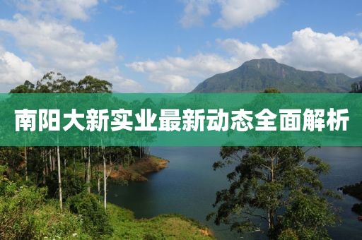 南陽(yáng)大新實(shí)業(yè)最新動(dòng)態(tài)全面解析