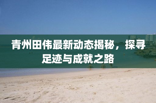 青州田偉最新動態(tài)揭秘，探尋足跡與成就之路
