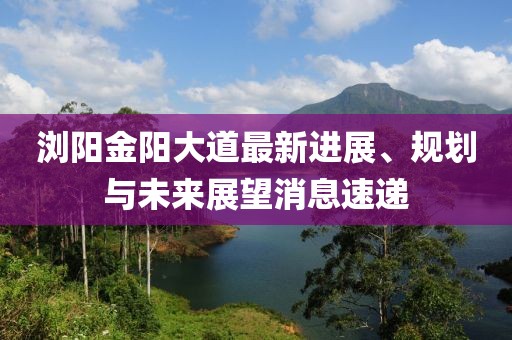 瀏陽(yáng)金陽(yáng)大道最新進(jìn)展、規(guī)劃與未來(lái)展望消息速遞