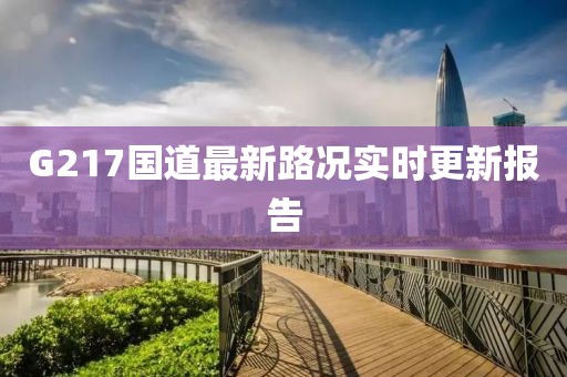 G217國(guó)道最新路況實(shí)時(shí)更新報(bào)告