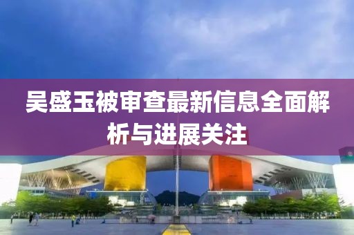 吳盛玉被審查最新信息全面解析與進展關(guān)注