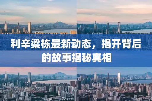 利辛梁棟最新動態(tài)，揭開背后的故事揭秘真相