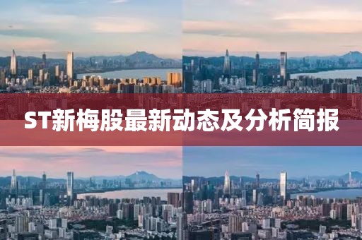 ST新梅股最新動(dòng)態(tài)及分析簡報(bào)