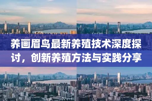 養(yǎng)畫眉鳥最新養(yǎng)殖技術(shù)深度探討，創(chuàng)新養(yǎng)殖方法與實踐分享