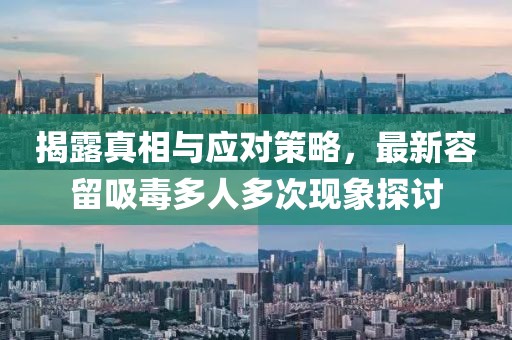 揭露真相與應(yīng)對策略，最新容留吸毒多人多次現(xiàn)象探討
