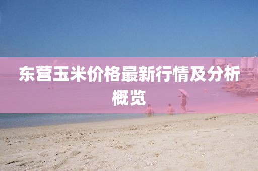 東營玉米價格最新行情及分析概覽