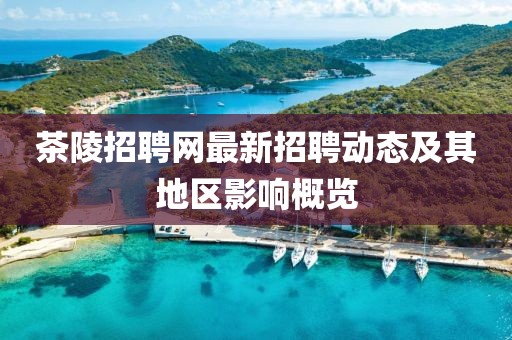 茶陵招聘網(wǎng)最新招聘動(dòng)態(tài)及其地區(qū)影響概覽