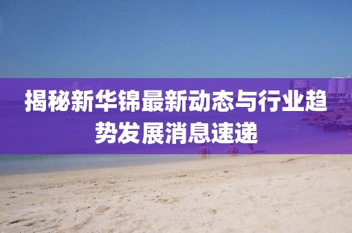 揭秘新華錦最新動(dòng)態(tài)與行業(yè)趨勢(shì)發(fā)展消息速遞