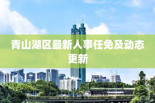青山湖區(qū)最新人事任免及動態(tài)更新