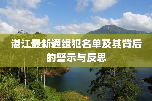 湛江最新通緝犯名單及其背后的警示與反思
