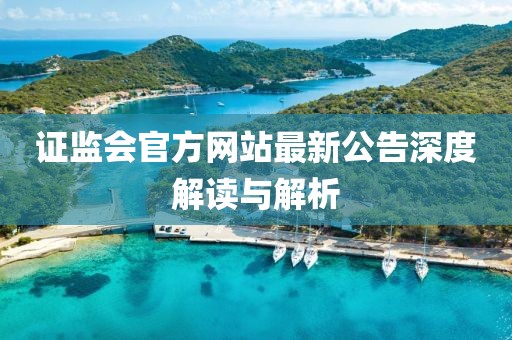 證監(jiān)會官方網(wǎng)站最新公告深度解讀與解析