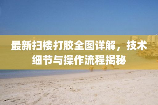 最新掃樓打膠全圖詳解，技術(shù)細(xì)節(jié)與操作流程揭秘