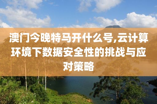 澳門今晚特馬開什么號,云計算環(huán)境下數(shù)據(jù)安全性的挑戰(zhàn)與應對策略