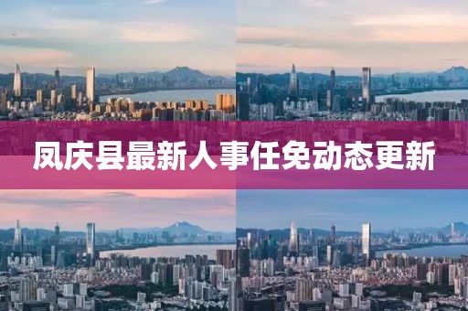 鳳慶縣最新人事任免動態(tài)更新