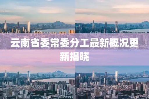 云南省委常委分工最新概況更新揭曉