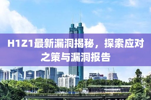 H1Z1最新漏洞揭秘，探索應(yīng)對(duì)之策與漏洞報(bào)告