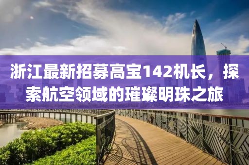浙江最新招募高寶142機(jī)長(zhǎng)，探索航空領(lǐng)域的璀璨明珠之旅
