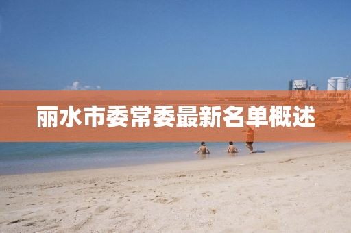 麗水市委常委最新名單概述