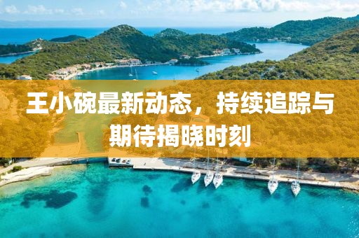 王小碗最新動(dòng)態(tài)，持續(xù)追蹤與期待揭曉時(shí)刻