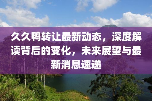 久久鴨轉(zhuǎn)讓最新動態(tài)，深度解讀背后的變化，未來展望與最新消息速遞