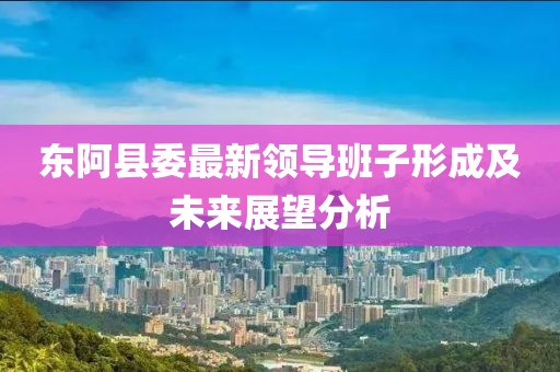 東阿縣委最新領導班子形成及未來展望分析