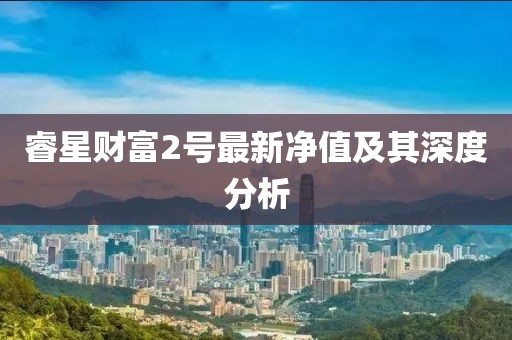 睿星財(cái)富2號最新凈值及其深度分析