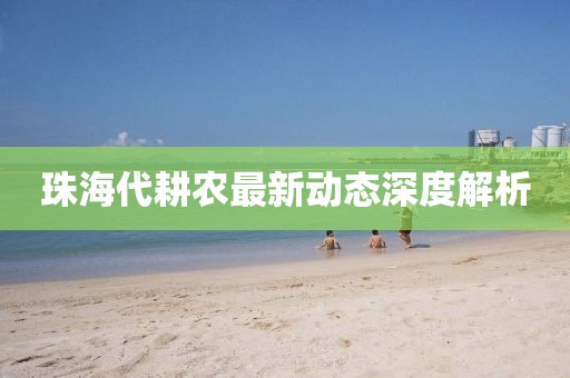 珠海代耕農(nóng)最新動態(tài)深度解析