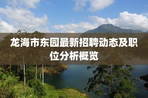 龍海市東園最新招聘動態(tài)及職位分析概覽