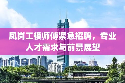 鳳崗工模師傅緊急招聘，專業(yè)人才需求與前景展望