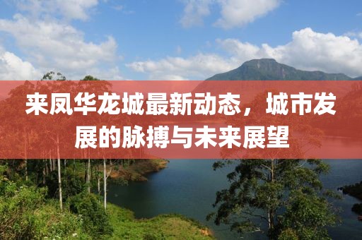 來(lái)鳳華龍城最新動(dòng)態(tài)，城市發(fā)展的脈搏與未來(lái)展望