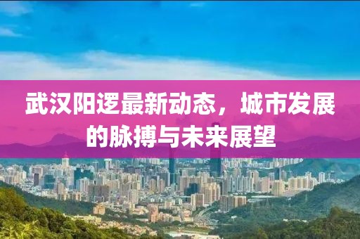 武漢陽邏最新動態(tài)，城市發(fā)展的脈搏與未來展望