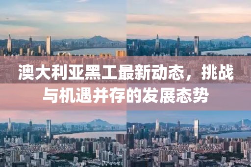 澳大利亞黑工最新動態(tài)，挑戰(zhàn)與機遇并存的發(fā)展態(tài)勢