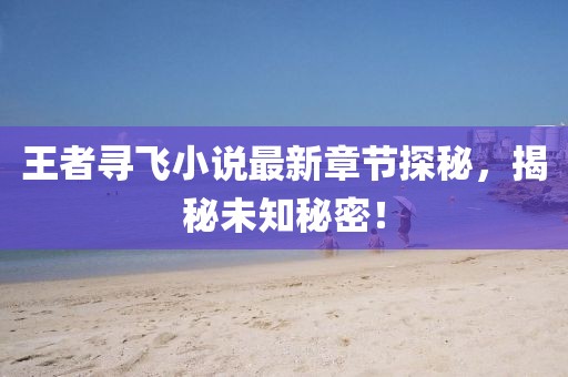 王者尋飛小說(shuō)最新章節(jié)探秘，揭秘未知秘密！