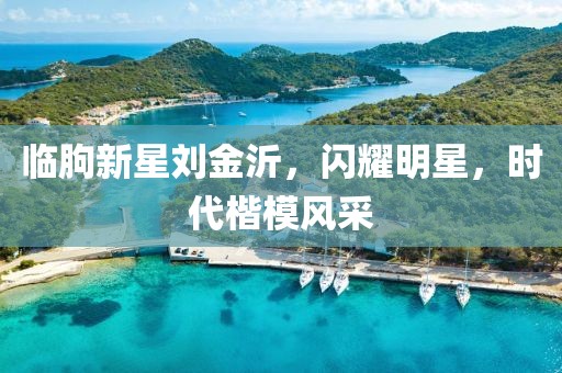 臨朐新星劉金沂，閃耀明星，時(shí)代楷模風(fēng)采